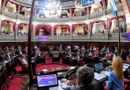 El Senado bonaerense dio media sanción a la suspensión de las PASO