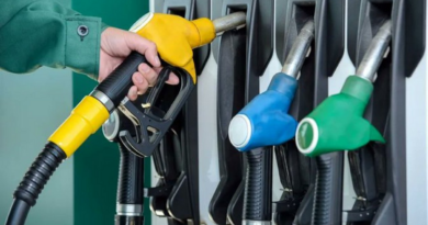 Combustibles: freno y caída de ventas en julio