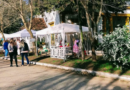 Moreno: las actividades que ofrece el Municipio para el fin de semana