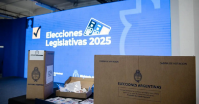 ¿Qué se vota este domingo?