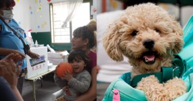 Merlo refuerza el cuidado animal y la salud pública con castraciones y operativos de vacunación