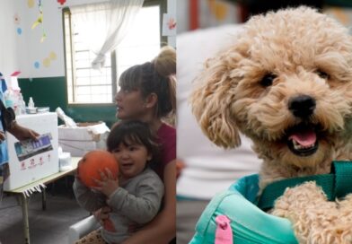 Merlo refuerza el cuidado animal y la salud pública con castraciones y operativos de vacunación