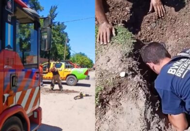 [Video] Bomberos de Merlo rescataron a cinco cachorros atrapados en una cañería de desagüe