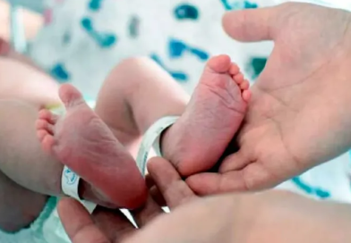 Fuerte caída de nacimientos en la Provincia: en cinco años se redujeron más de la mitad