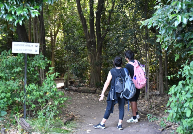 El verano se disfruta en las Reservas Naturales de Morón