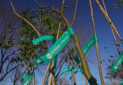 Ituzaingó recibió un reconocimiento por su compromiso con el arbolado urbano