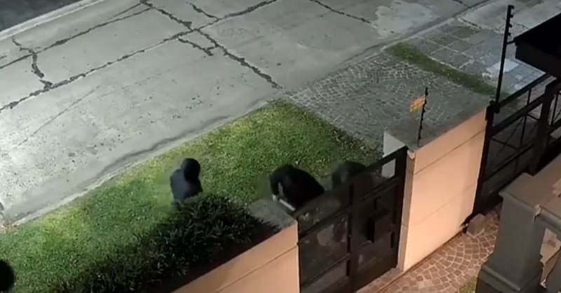 [Video] Violenta entradera en Ituzaingó: una banda armada irrumpió con un ariete y golpeó a una mujer y a su hija
