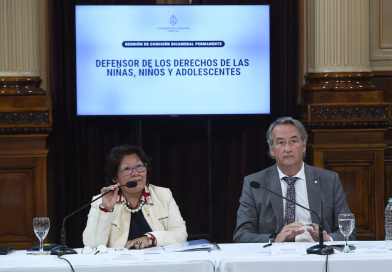 El oficialismo anuló la designación de la titular de la Defensoría del Niño