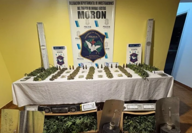 Morón: desbaratan un cultivo clandestino de marihuana y detienen a un sospechoso
