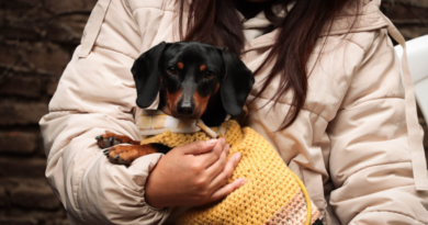 Morón brinda servicios veterinarios gratuitos para vecinos y vecinas