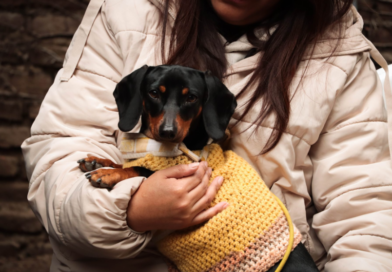 Morón brinda servicios veterinarios gratuitos para vecinos y vecinas
