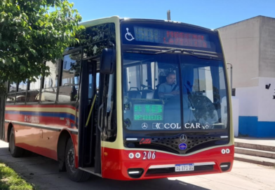 Moreno: La Perlita no participará de la licitación del servicio de colectivos