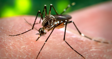 Morón refuerza la campaña de prevención contra el dengue