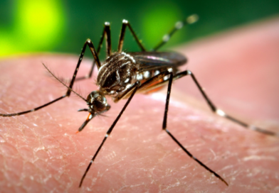 Morón refuerza la campaña de prevención contra el dengue