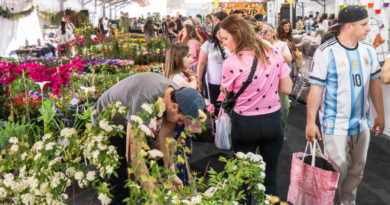 Moreno: más de 35 mil personas participaron de la Fiesta del Plantín Floral