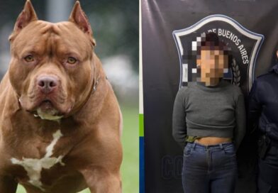 Tragedia en Moreno: un pitbull mató a un nene de 4 años